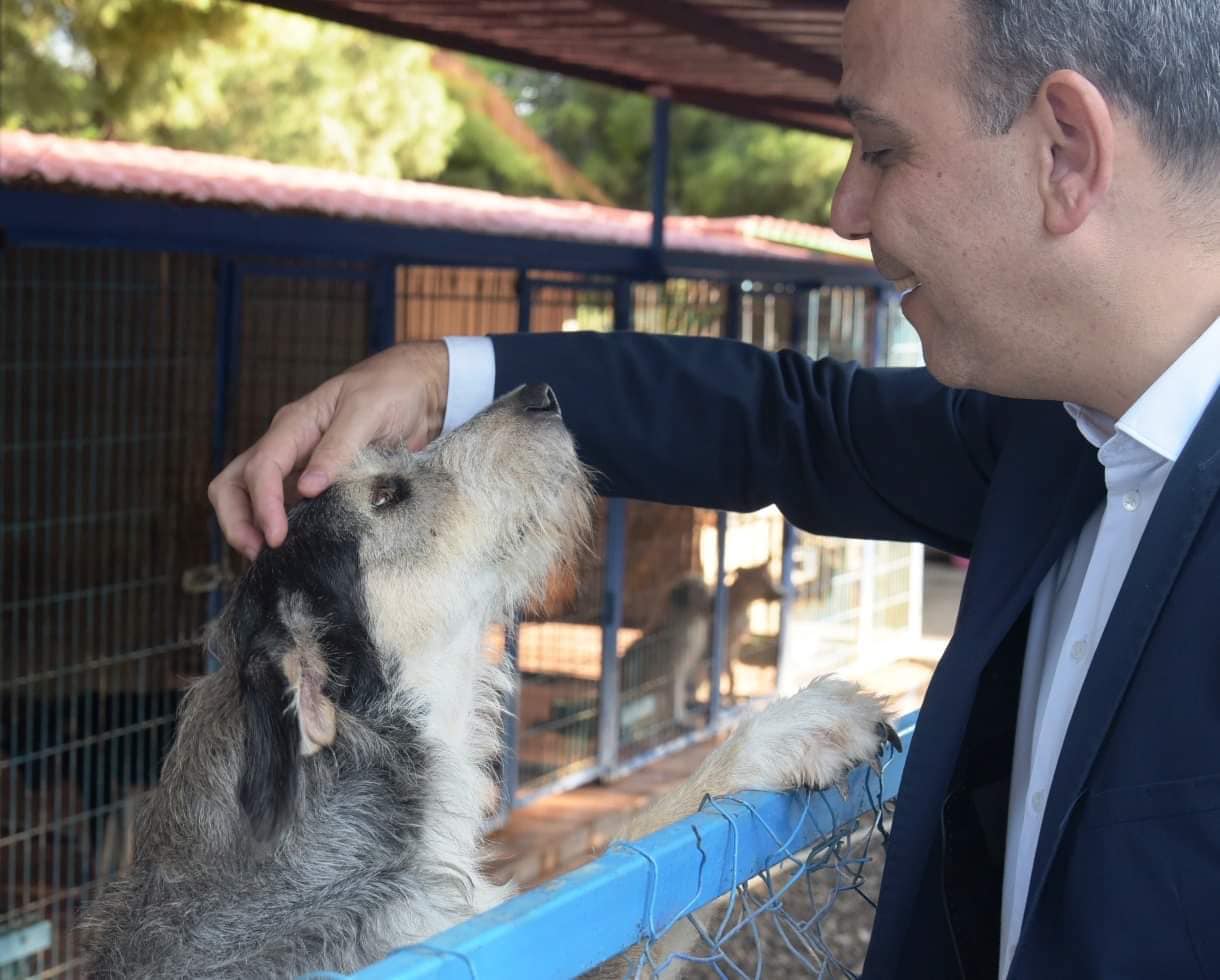 Harmancı'dan hayvanseverlere çağrı - Giynik Gazetesi