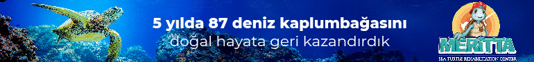 Merit Hotels