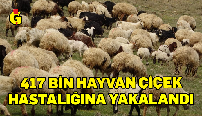 ÇİÇEK HASTALIĞI
